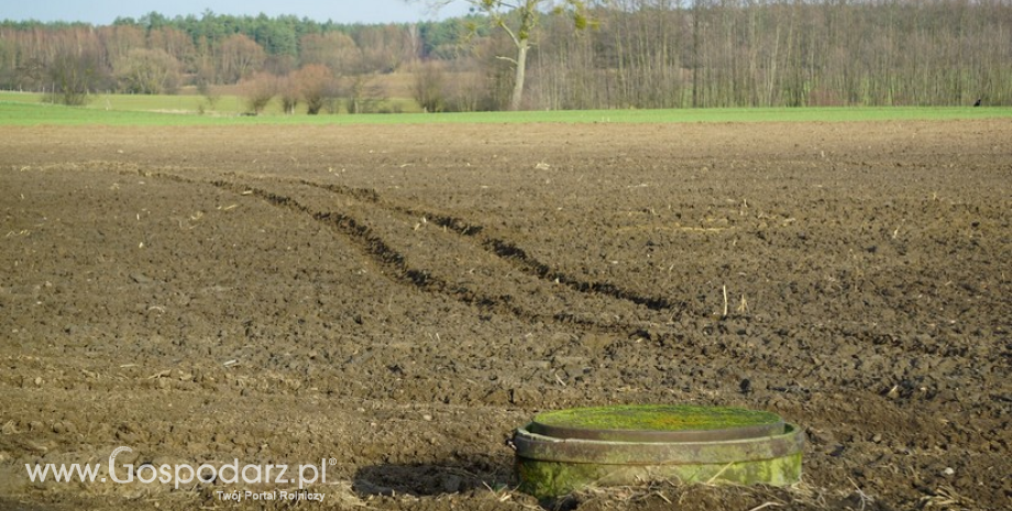 Pierwsza połowa 2017 roku być może przyniesie poprawę na rynku transakcji gruntami rolnymi.