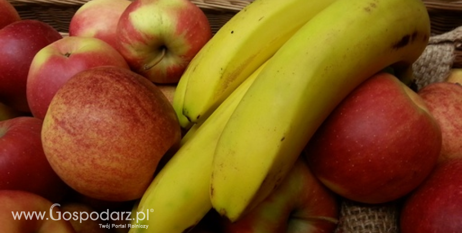 Rocznie zjadamy ok. 7 kg bananów. To drugi najchętniej spożywany owoc po jabłkach