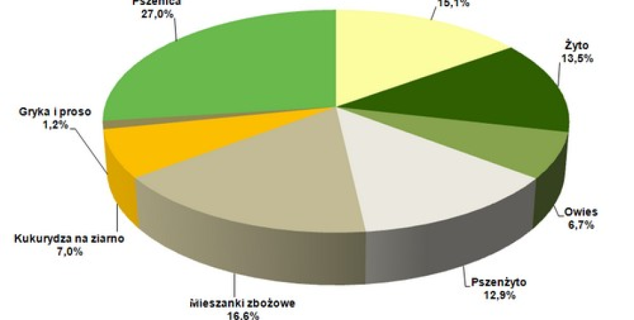 Struktura upraw zbożowych w ogólnej powierzchni zbóż w Polsce w 2012 roku