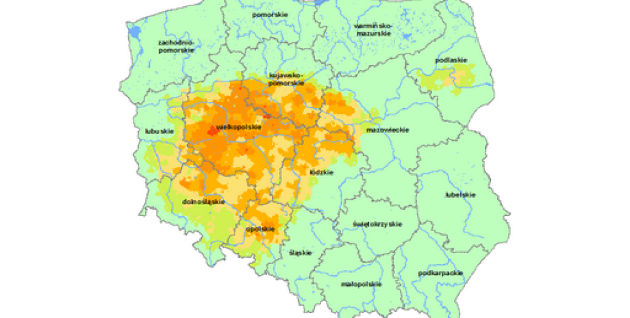 Zagrożenie suszą upraw rzepaku i buraków cukrowych. Najgorzej w Wielkopolsce