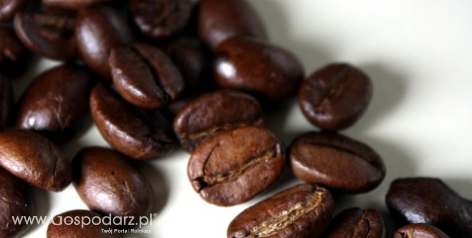 Polski eksport kawy, herbaty i kakao wzrósł do 164 tys. ton