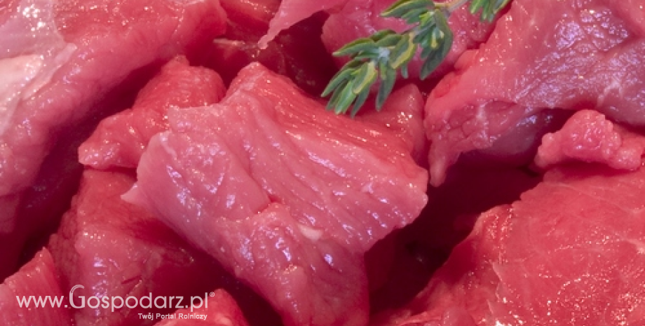 Rynek mięsa w Polsce (23.04.2023)
