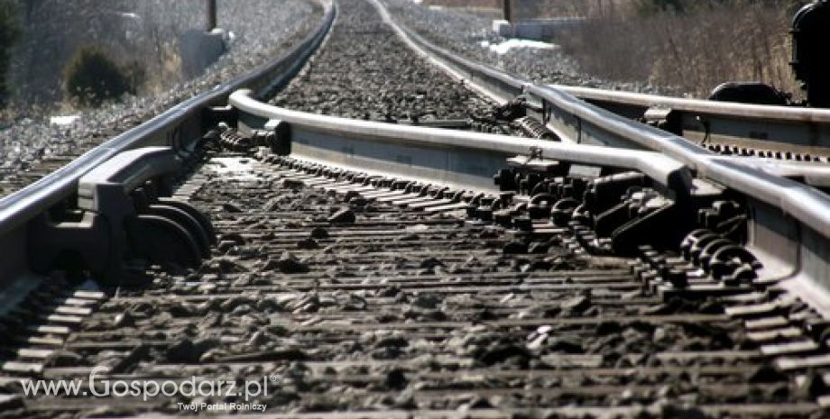 Kolejowe problemy w gminach Wodzierad, Lutomierska i Pabianice