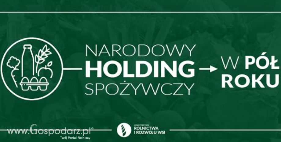 Narodowy Holding Spożywczy w pół roku