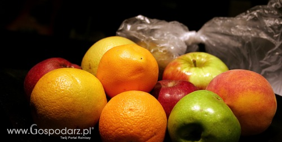 Eksport świeżych owoców z Polski w 2013 r. Tradycyjnie dominowały jabłka