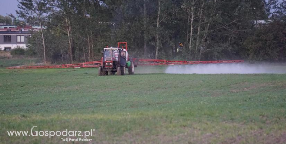 Uwaga na podrobione środki ochrony roślin. Zobacz jak ustrzec się przed podróbkami