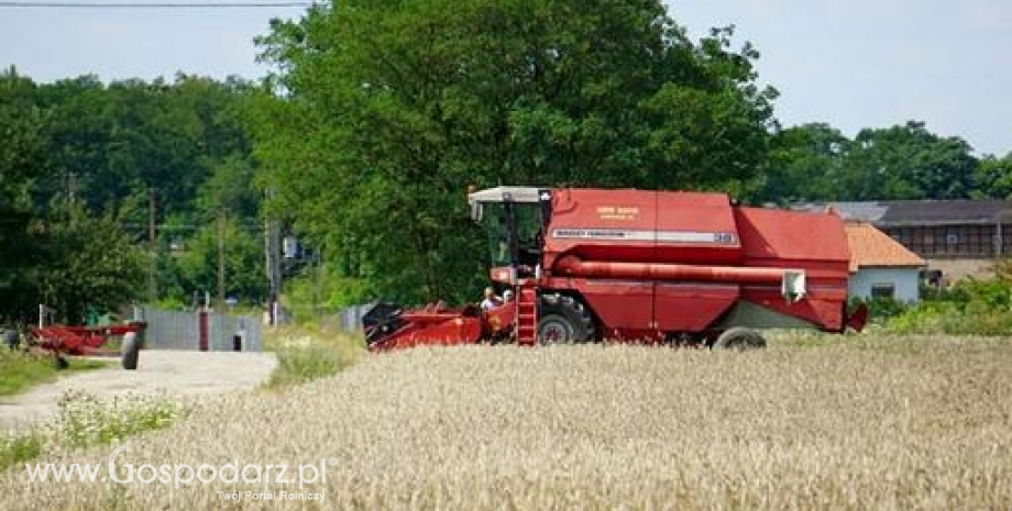 Notowania zbóż i oleistych (04.08.2015)