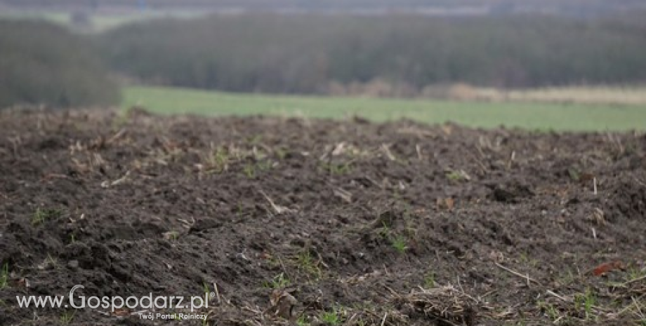 ANR: Nowozawierane umowy dzierżawy na okres 10 lat