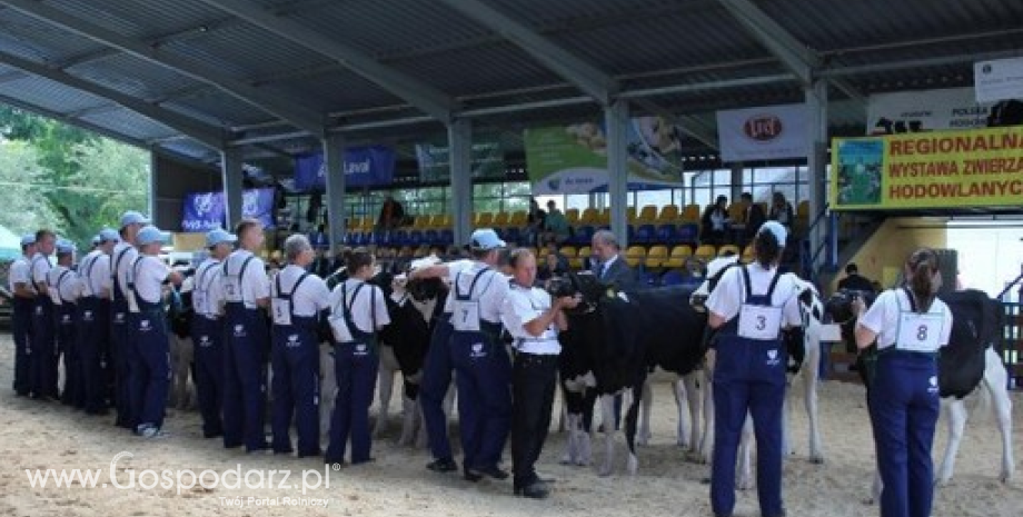 XXIII Regionalna Wystawa Zwierząt Hodowlanych w Szepietowie. Największe targi rolnicze północno-wschodniej Polski