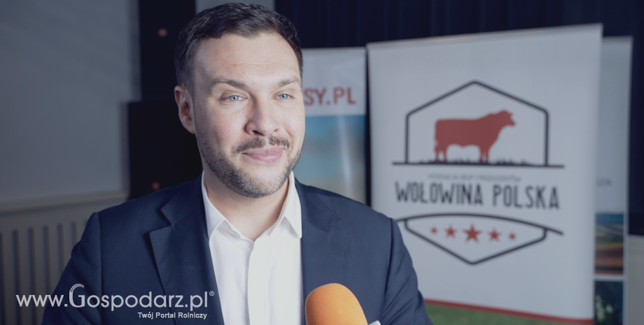 Gospodarstwa mleczne i mięsne bliżej współpracy. Nowe spojrzenie na źródła cieląt i stabilność produkcji wołowiny