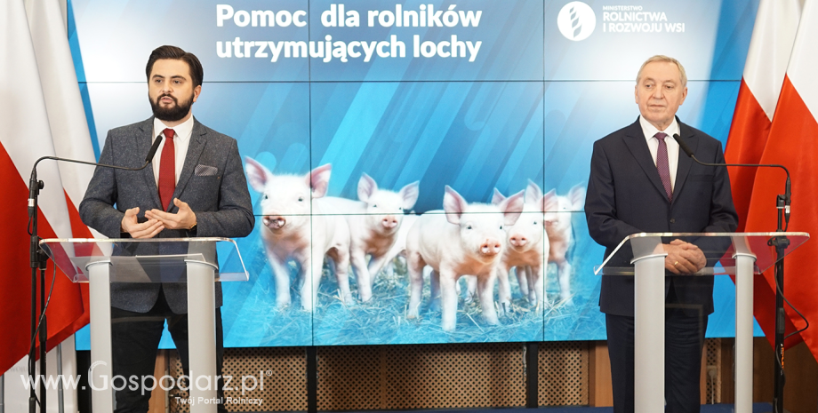 Pomoc dla producentów trzody chlewnej