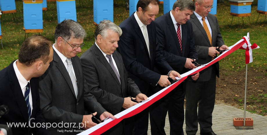 Pomorskie Centrum Pszczelarstwa - w trosce o przetrwanie pszczół