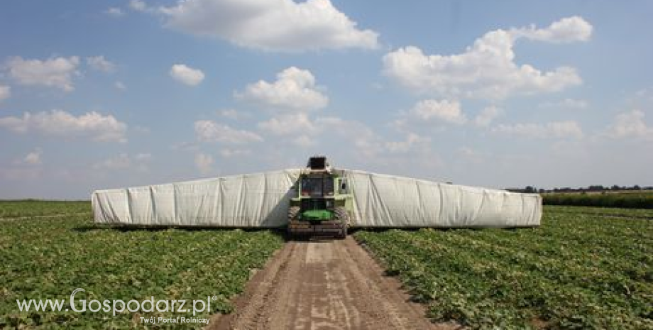 Instrukcja dla producentów warzyw ws. dokumentowania braku możliwości sprzedaży