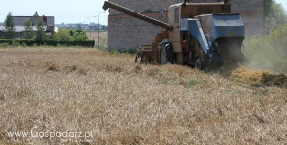 Spadki kontraktów futures na europejskie zboża (4.09.2013)