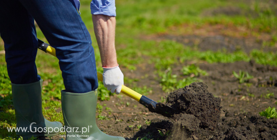 Umowa i ubezpieczenie dla pracowników sezonowych