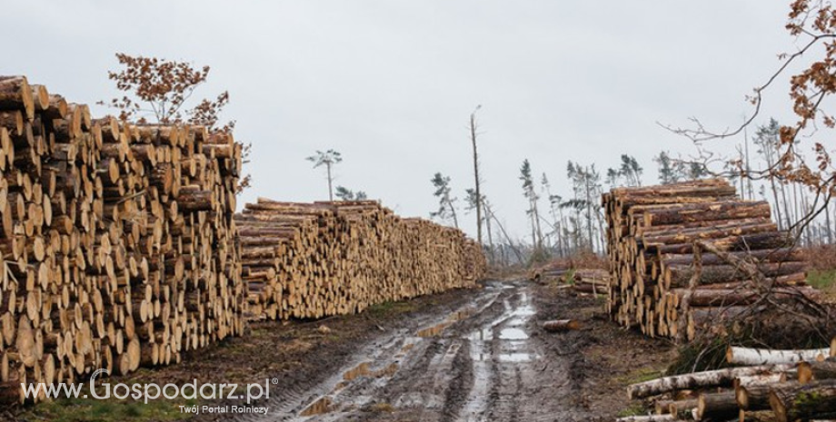 Wciąż trwają prace po ubiegłorocznym huraganie
