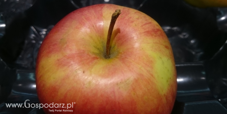 W ubiegłym sezonie produkcja jabłek na świecie sięgnęła 77 mln ton