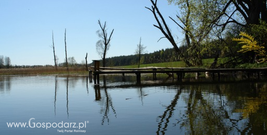 Wsparcie na ochronę wód przed azotanami