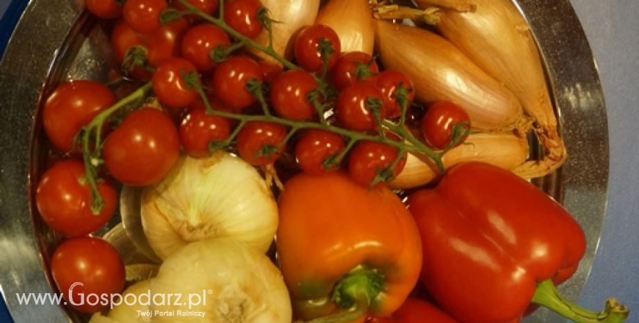 UE: Jabłka i pomidory głównym produktem eksportowym wśród produktów ogrodnictwa