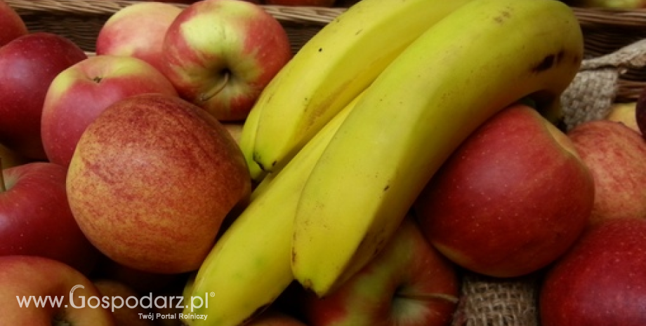 Mniejszy import owoców i warzyw do Rosji. Banany, jabłka i pomidory najczęściej sprowadzane