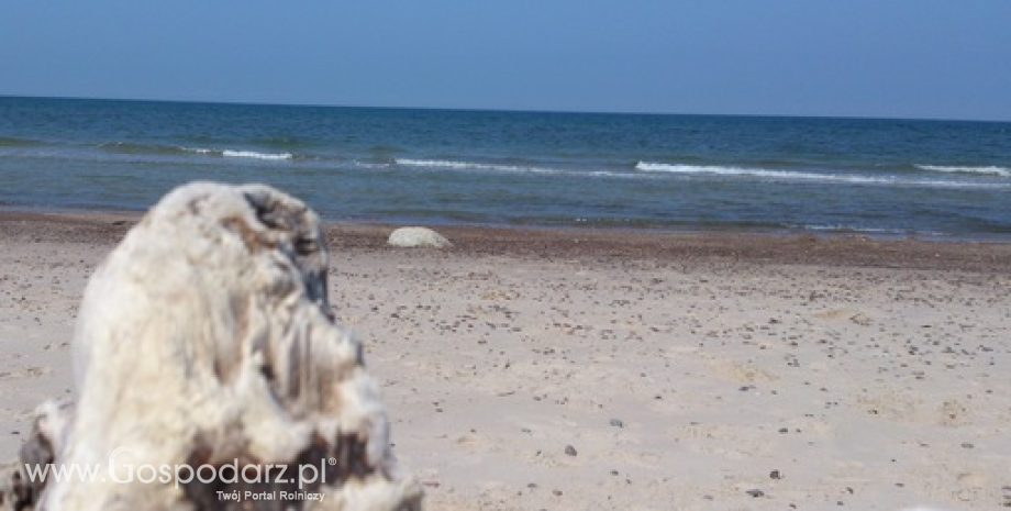 Polskie morze głównym kierunkiem wakacyjnych wyjazdów