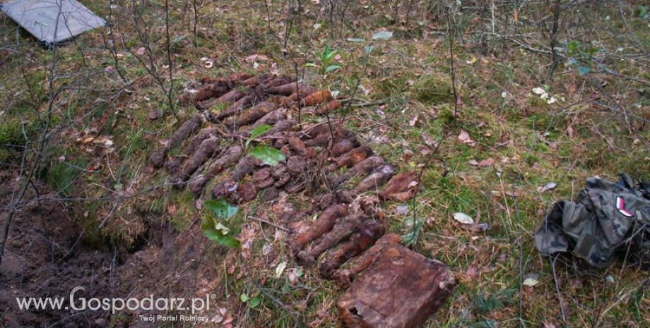 Niebezpieczne znalezisko w Nadleśnictwie Międzychód