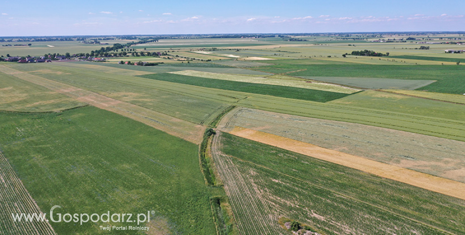 Odstępstwo od zakazu produkcji na ugorach – rozporządzenie KE opublikowane