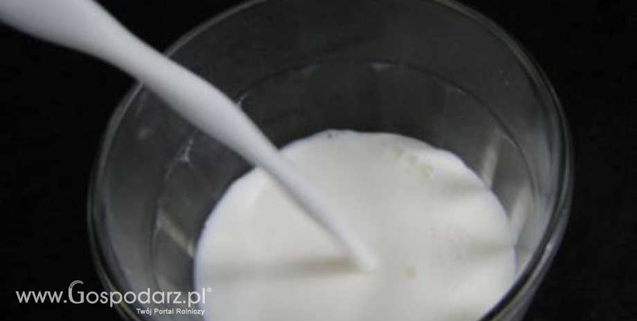 Rośnie skup mleka w Polsce
