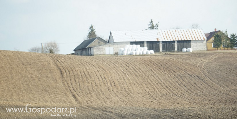 Słaba sezonowa poprawa koniunktury rolnej