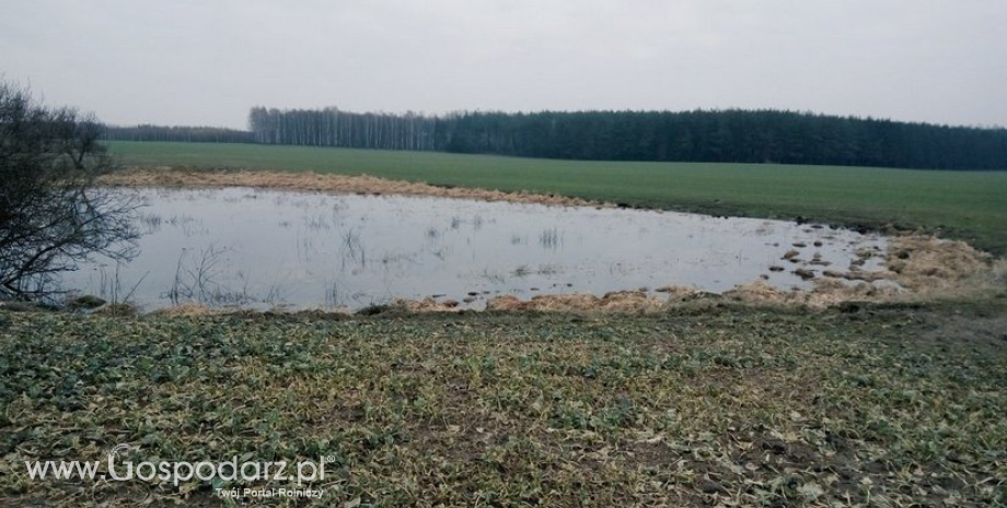 Wsparcie na zapobieganie zniszczeniu potencjału produkcji rolnej