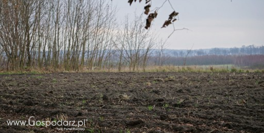 Nowe regulacje dotyczące obrotu gruntami rolnymi mogą mieć negatywny wpływ na realizację planów inwestycyjnych