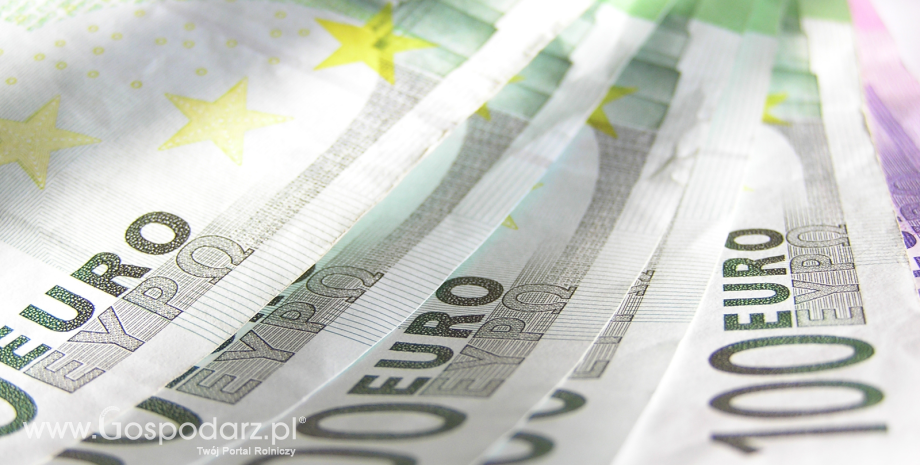 Wyższe stawki płatności bezpośrednich za rok 2013. Dopłaty będą przeliczane wg kursu 4,2288 zł za euro