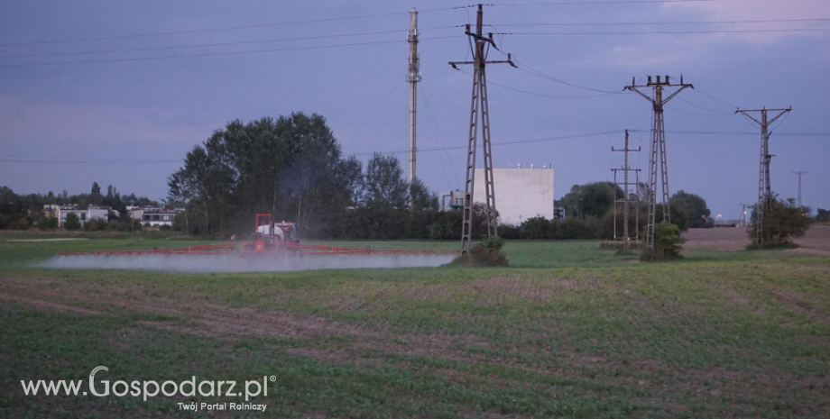 Konieczność aktualizacji szkoleń z ochrony roślin