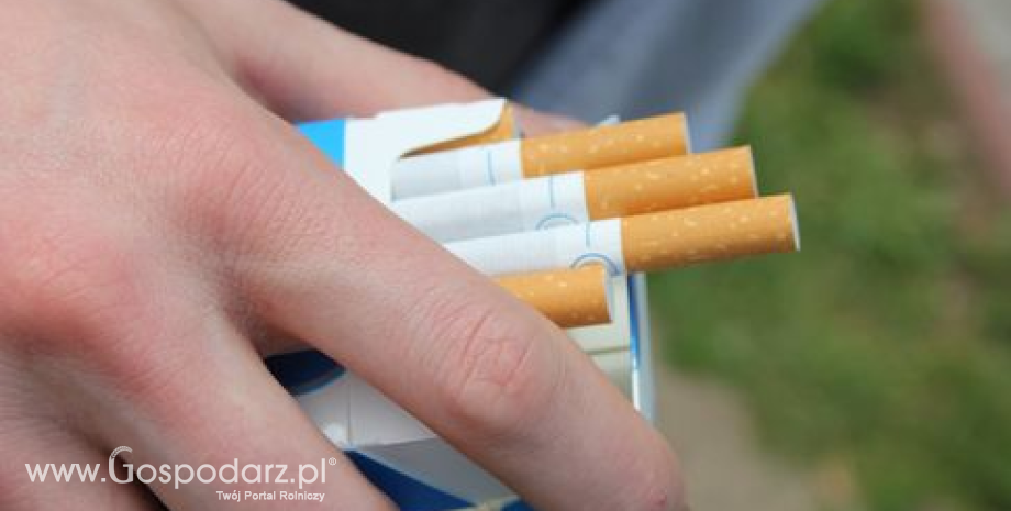 Unijna dyrektywa ws. tytoniu może spowodować bankructwo małych sklepów i wzrost przemytu papierosów