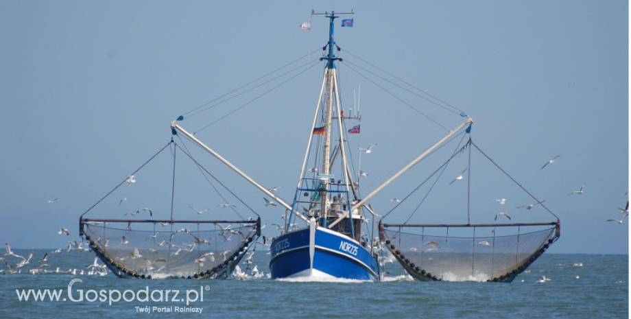 Pomoc na start działalności gospodarczej dla właścicieli statków rybackich