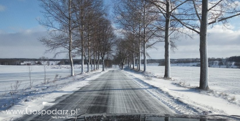 W zimowych warunkach na drogach jest bezpieczniej