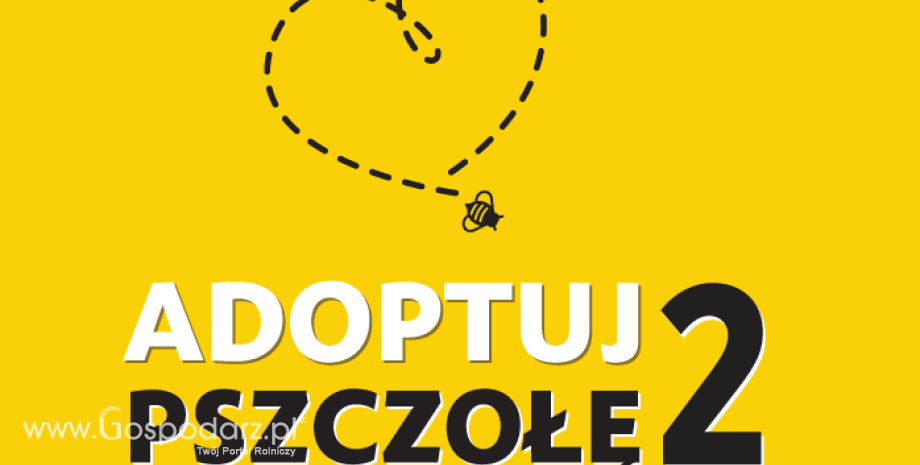 Inauguracja „Adoptuj Pszczołę 2” - Greenpeace na pomoc pszczołom w Przyczynie Dolnej
