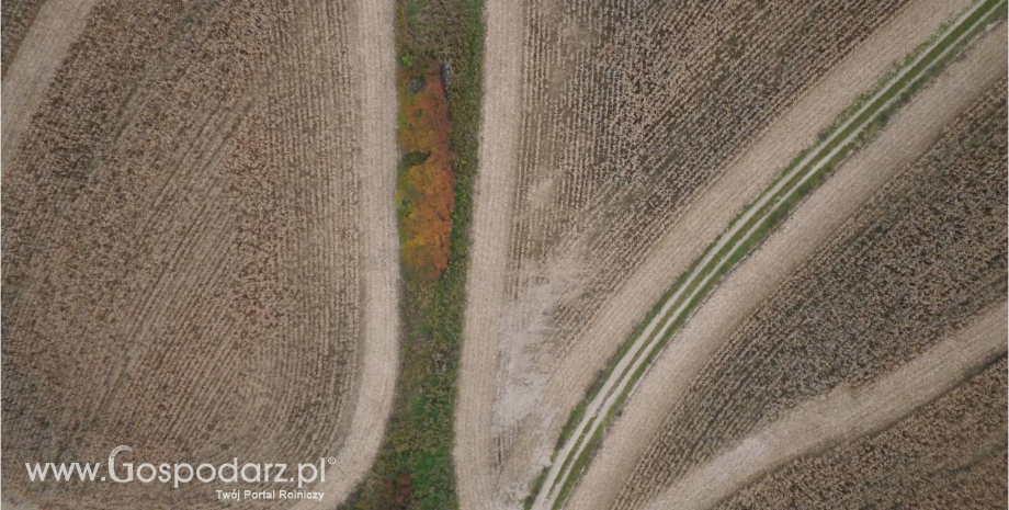 MRiRW zapowiada zmiany w planowaniu i zagospodarowaniu przestrzennym