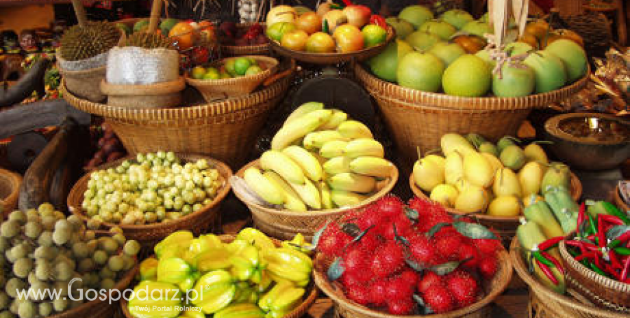 Wysoki unijny eksport owoców i warzyw na Białoruś