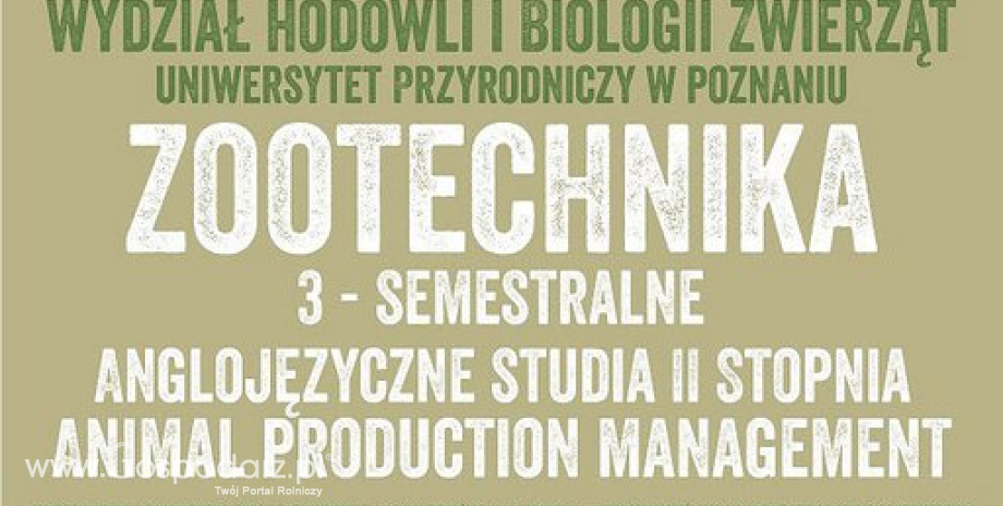 Rekrutacja na studia Animal Production Management (Zootechnika) na Uniwersytecie Przyrodniczym w Poznaniu