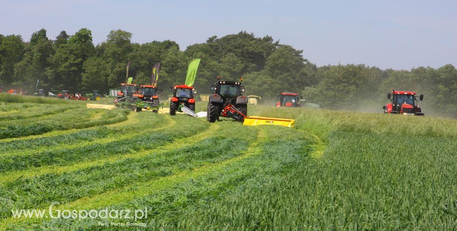 Zielone AGRO SHOW - Polskie Zboża 2015. Pokazy maszyn zielonkowych i wystawa zwierząt hodowlanych w jednym miejscu