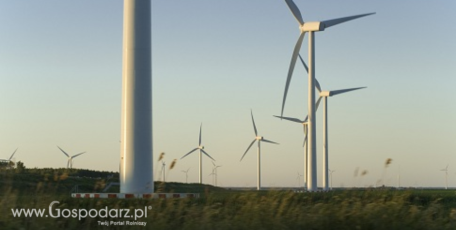 Wzrost użycia energii odnawialnej w 2012 roku