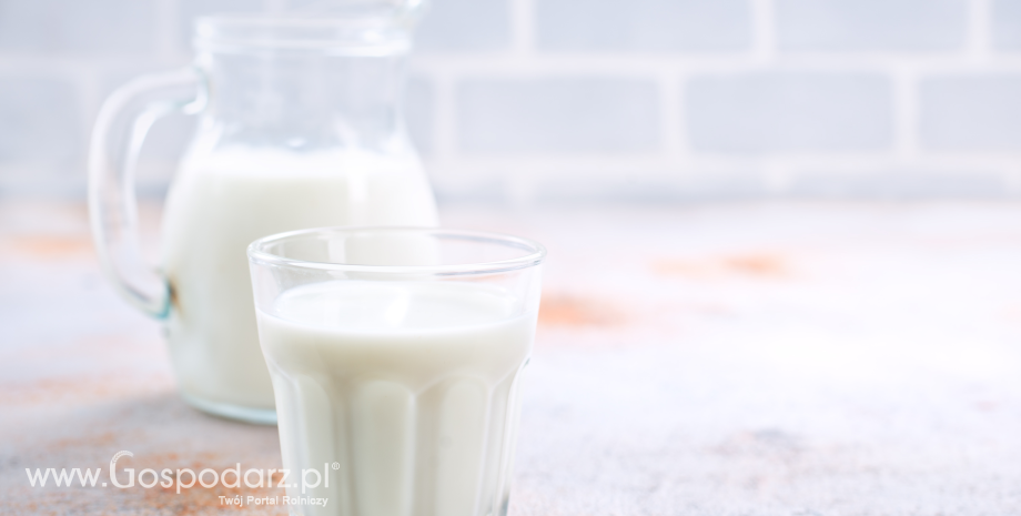 Ceny skupu mleka surowego według GUS w styczniu