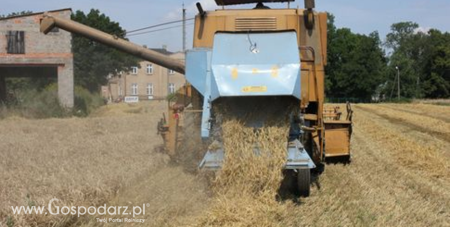 Obiecujący początek żniw w Rosji