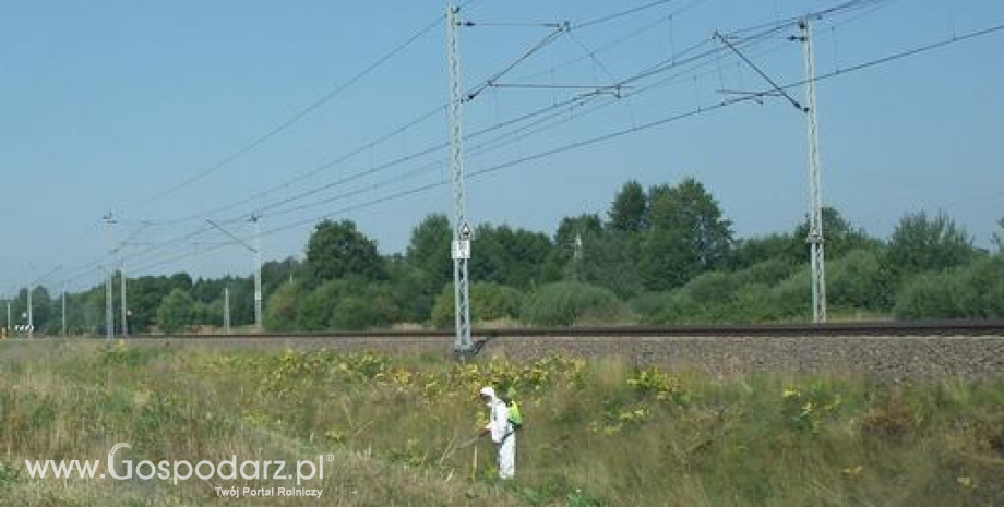 Głosowanie państw członkowskich UE w sprawie glifosatu