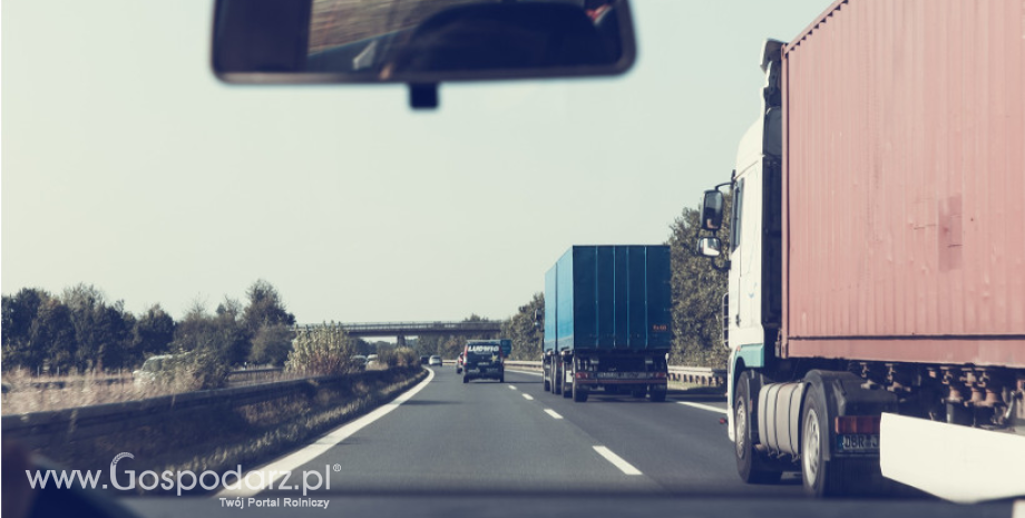 Nowoczesna infrastruktura drogowa…dla zwierząt