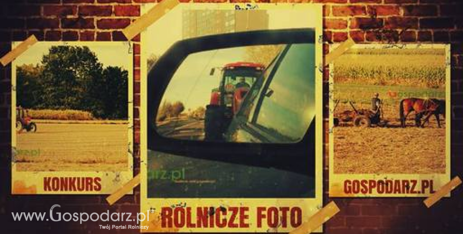 Konkurs Rolnicze Foto Gospodarz.pl