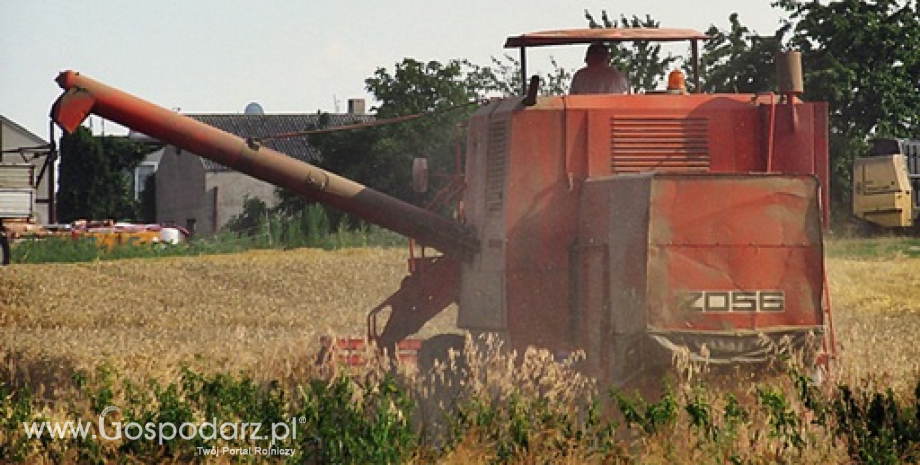 Rekordowe zbiory zbóż na świecie w sezonie 2016/2017