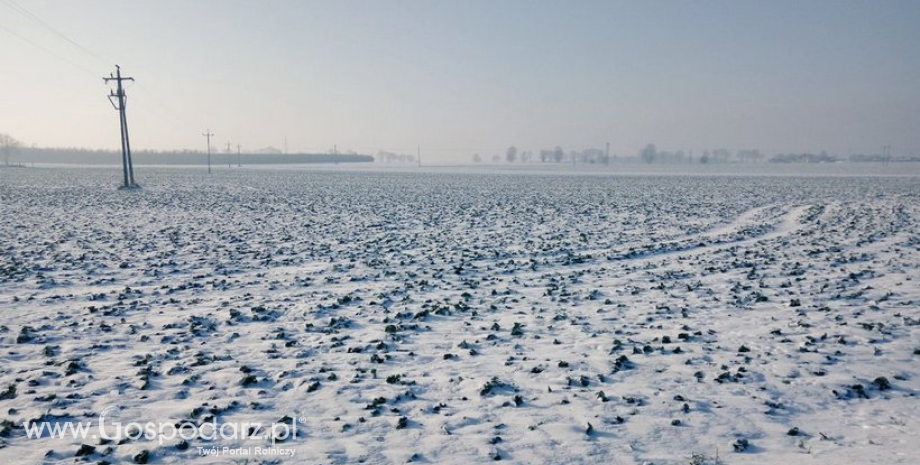 W sprawie ustawiania zasłon przeciwśnieżnych