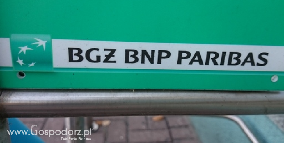 Bank BGŻ BNP Paribas z nowymi gwarancjami BGK